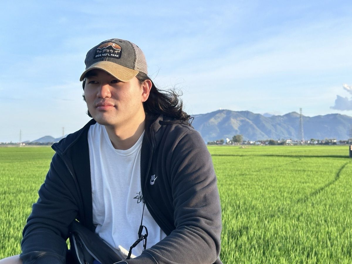 Mountains beyond a green rice field