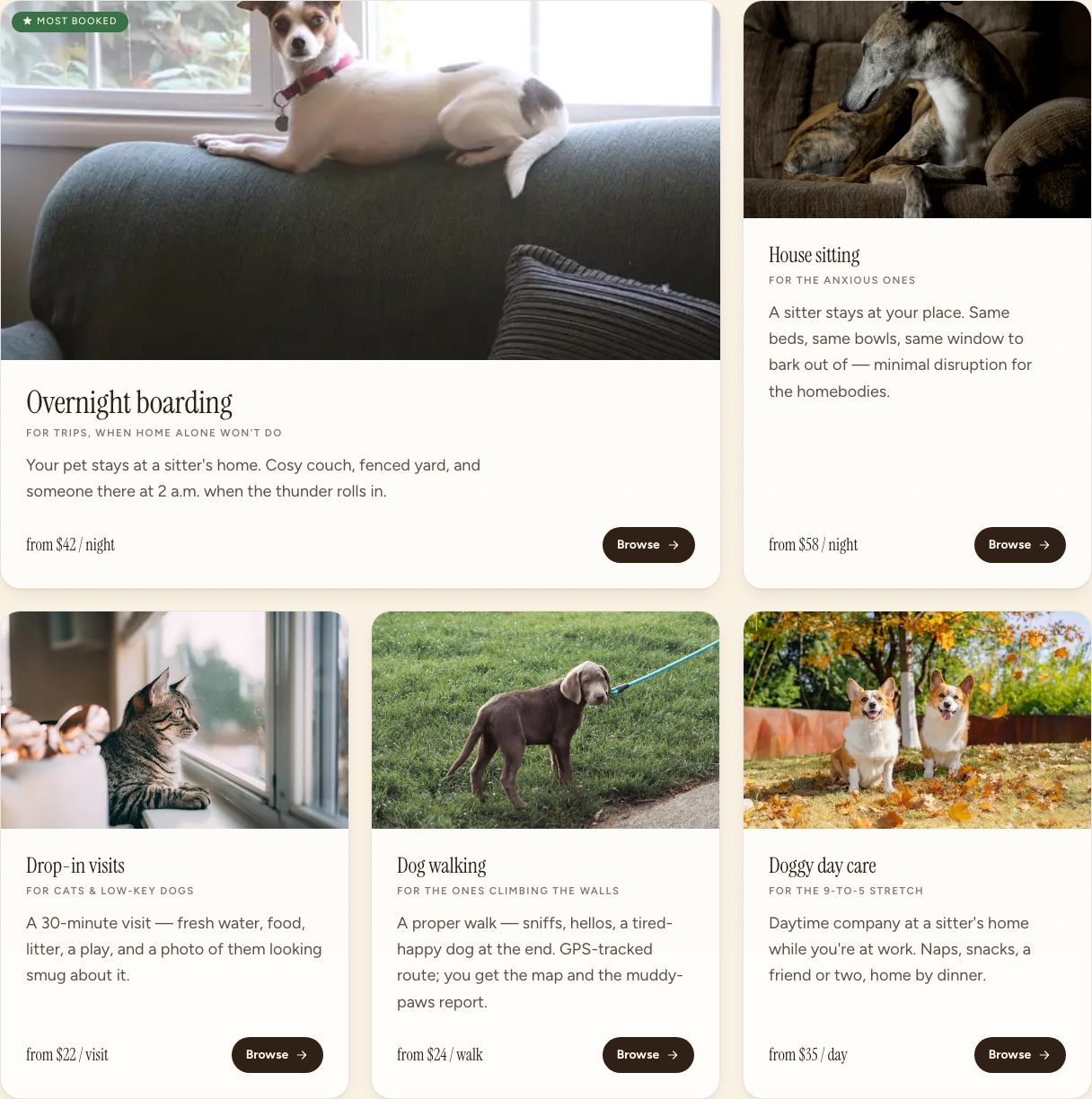 Redesigned pet-care service cards using photography and consistent styling